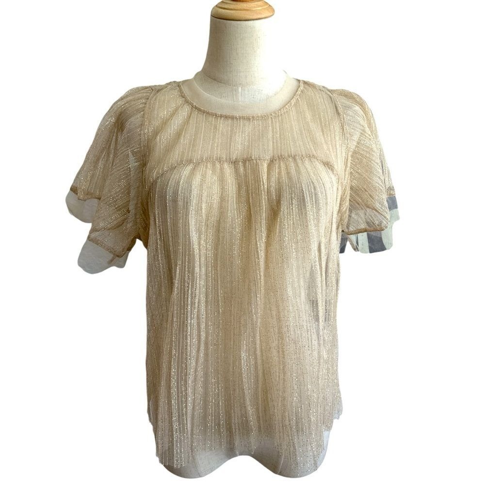 Anthropologie Sarah Hann Jody Sheer Top Blouse Neutral Shimmer Size Medium NWT - Picture 2 of 12